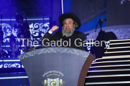 Rav Dovid Cohen - Eretz Yisroel 1 - רב דוד כהן Sukkah Poster
