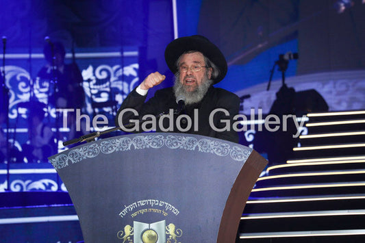Rav Dovid Cohen - Eretz Yisroel 1 - רב דוד כהן Sukkah Poster