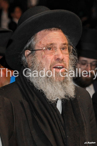 Rav Dovid Cohen