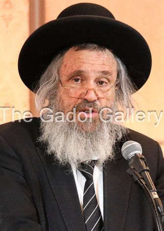 Rav Dovid Cohen