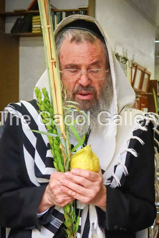 Rav Dovid Cohen - Eretz Yisroel 8 - רב דוד כהן Sukkah Poster
