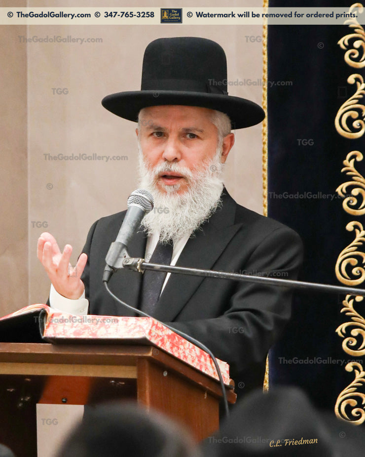 Rav Zamir Cohen