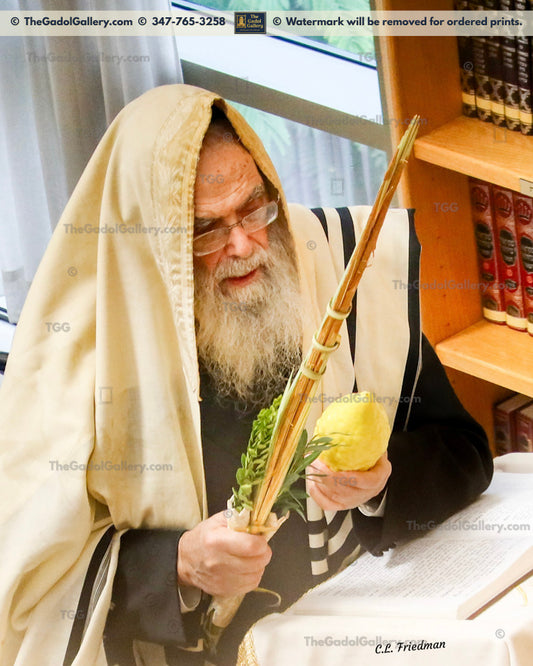 Rav Yonason David - Lulav 2- רב יונתן דוד