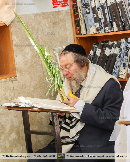 Rav Ahron David - רב אהרן דוד 3