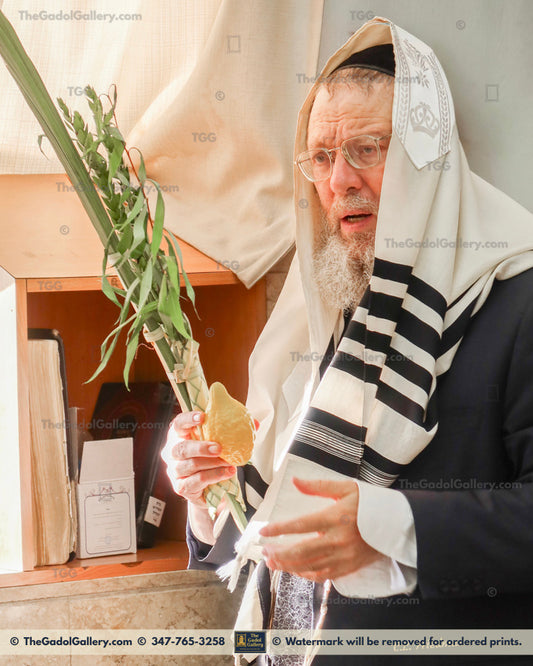 Rav Ahron David - רב אהרן דוד 2