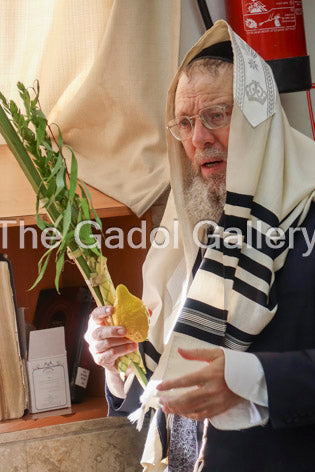 Rav Ahron David - רב אהרן דוד 2