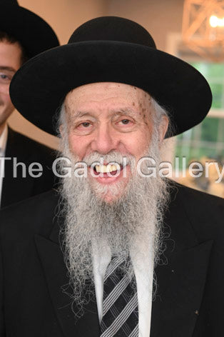 Rav Hillel David