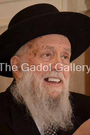 Rav Hillel David -3- ×¨×‘ ×”×œ×œ ×“×•×“ Sukkah Poster