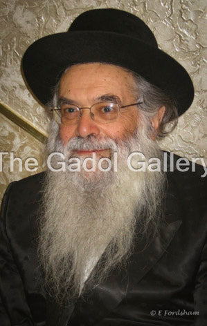 Rav Yonason David