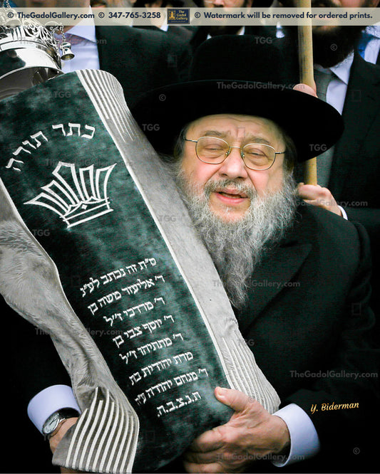 Rav Yisroel Ehrlich - 2