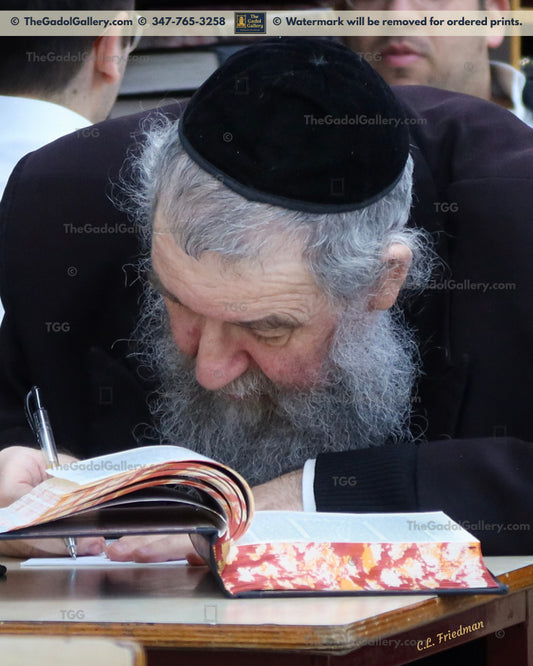 Rav Menachem Eichenstein -1- רב מנחם אייכנשטיין