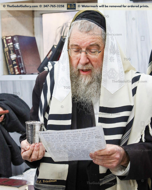 Rav Menachem Eichenstein -2- רב מנחם אייכנשטיין