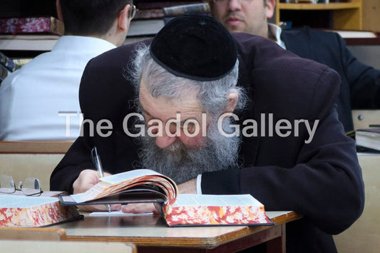 Rav Menachem Eichenstein -1- רב מנחם אייכנשטיין Sukkah Poster