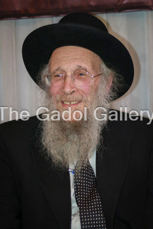 Rav Yehoshua Eichenstein -4- ×¨×‘ ×™×”×•×©×¢ ×”×¢×©×™×œ ××™×™×›Ã— ×©×˜×™×™×Ÿ Sukkah Poster