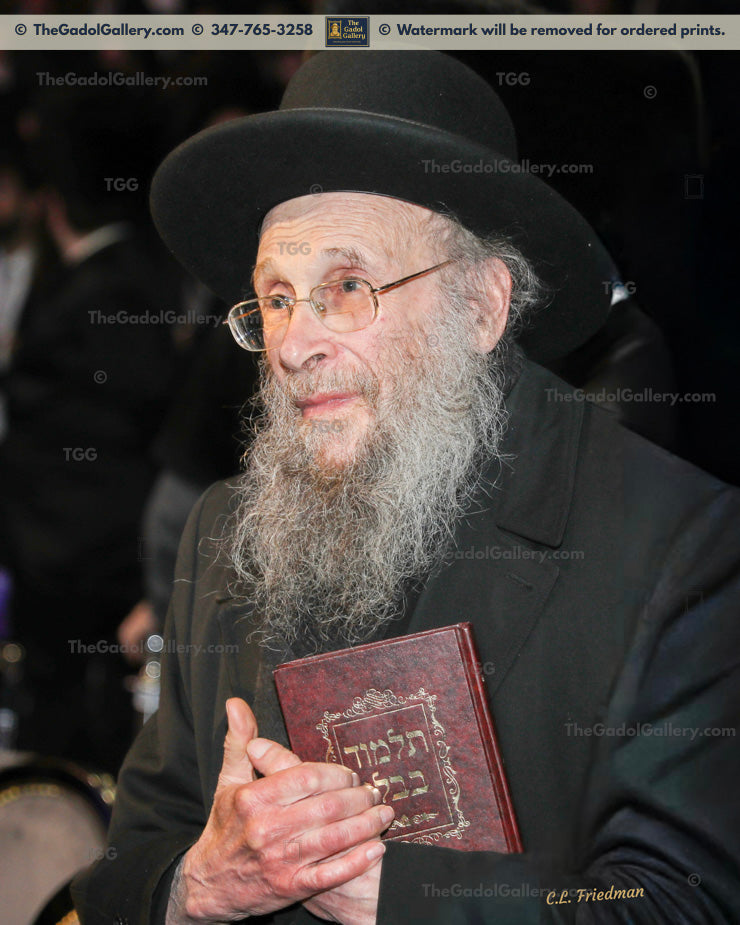 Rav Yehoshua Eichenstein -2 (2)- רב יהושע העשיל אייכנשטיין