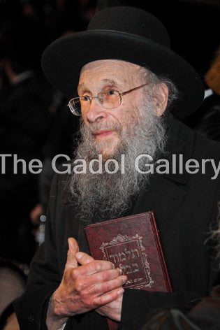 Rav Yehoshua Eichenstein -6- ×¨×‘ ×™×”×•×©×¢ ×”×¢×©×™×œ ××™×™×›Ã— ×©×˜×™×™×Ÿ Sukkah Poster