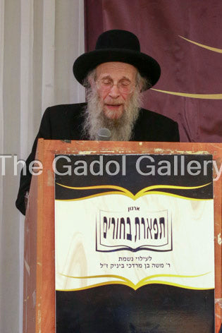 Rav Yehoshua Eichenstein -2- ×¨×‘ ×™×”×•×©×¢ ×”×¢×©×™×œ ××™×™×›Ã— ×©×˜×™×™×Ÿ Sukkah Poster