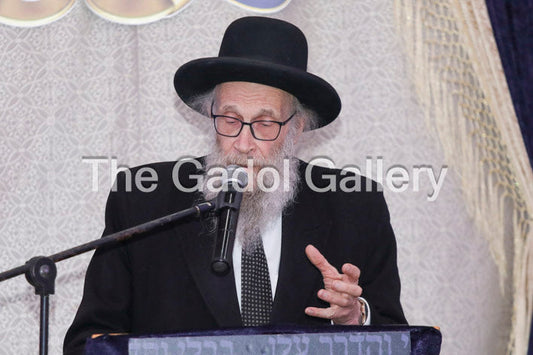 Rav Yehoshua Eichenstein -3- ×¨×‘ ×™×”×•×©×¢ ×”×¢×©×™×œ ××™×™×›Ã— ×©×˜×™×™×Ÿ Sukkah Poster
