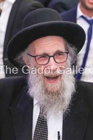 Rav Yehoshua Eichenstein -5- ×¨×‘ ×™×”×•×©×¢ ×”×¢×©×™×œ ××™×™×›Ã— ×©×˜×™×™×Ÿ Sukkah Poster