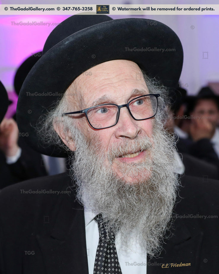 Rav Yehoshua Eichenstein -5- רב יהושע העשיל אייכנשטיין