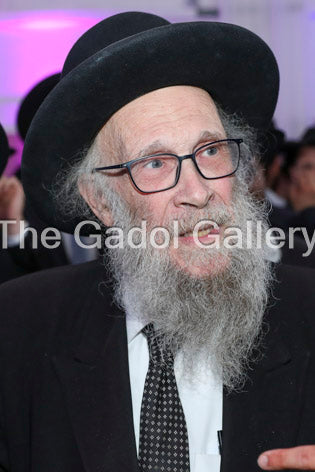 Rav Yehoshua Eichenstein -4- ×¨×‘ ×™×”×•×©×¢ ×”×¢×©×™×œ ××™×™×›Ã— ×©×˜×™×™×Ÿ Sukkah Poster