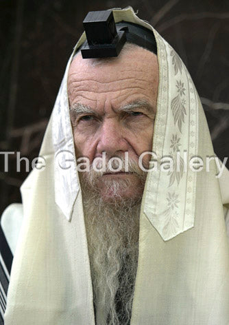 Rav Gershon Eidelstein -1- רב ירחמיאל גרשון אדלשטיין Sukkah Poster