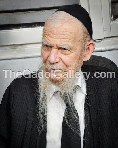 Rav Gershon Eidelstein -2- רב ירחמיאל גרשון אדלשטיין Sukkah Poster