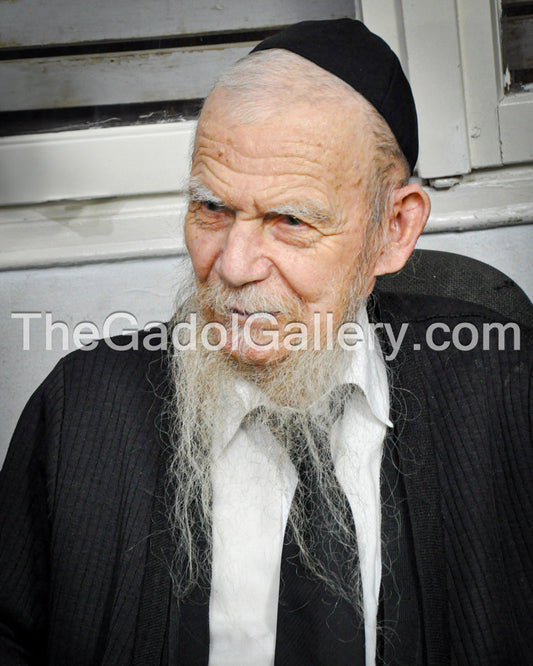 Rav Gershon Eidelstein -2- רב ירחמיאל גרשון אדלשטיין Sukkah Poster