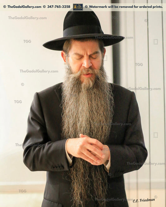 Rav Binyomin Eisenberger