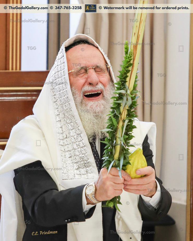 Rav Reuvain Elbaz -Lulav- רב ראובן אלבז