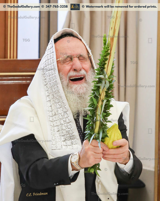Rav Reuvain Elbaz -Lulav- רב ראובן אלבז