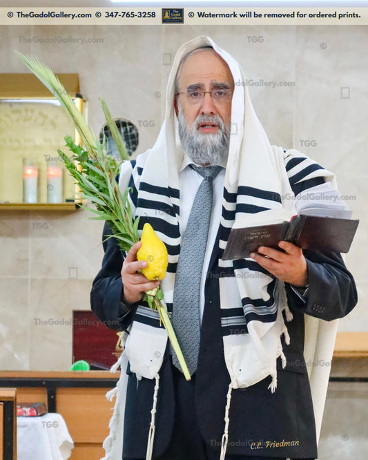 Rav Yosef Elefant - 2