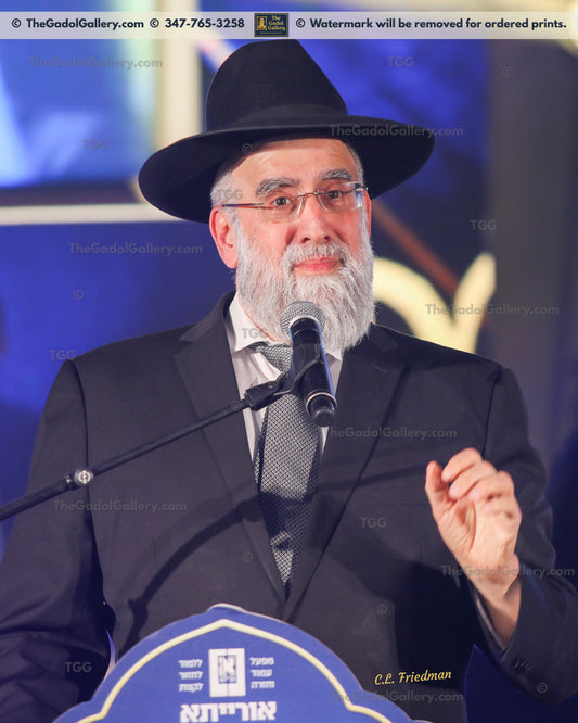 Rav Yosef Elefant - 3