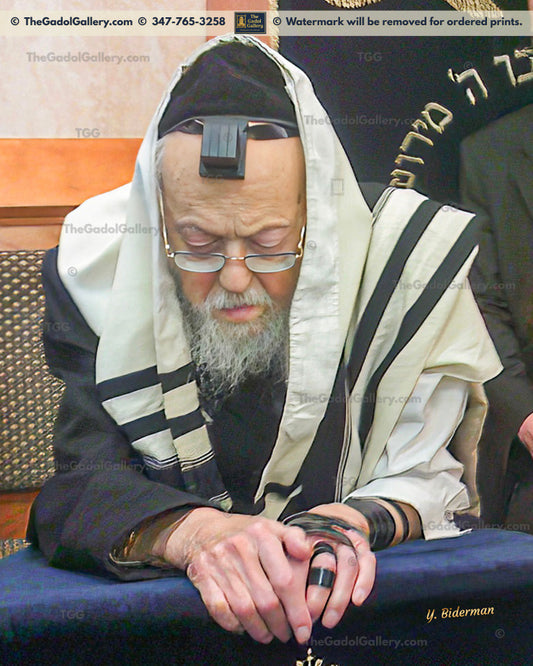 Rav Yosef Shalom Elyashiv -1- הרב יוסף שלום אלישיב