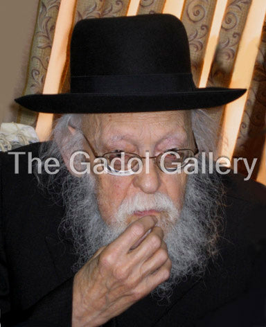 Rav Yosef Shalom Elyashiv