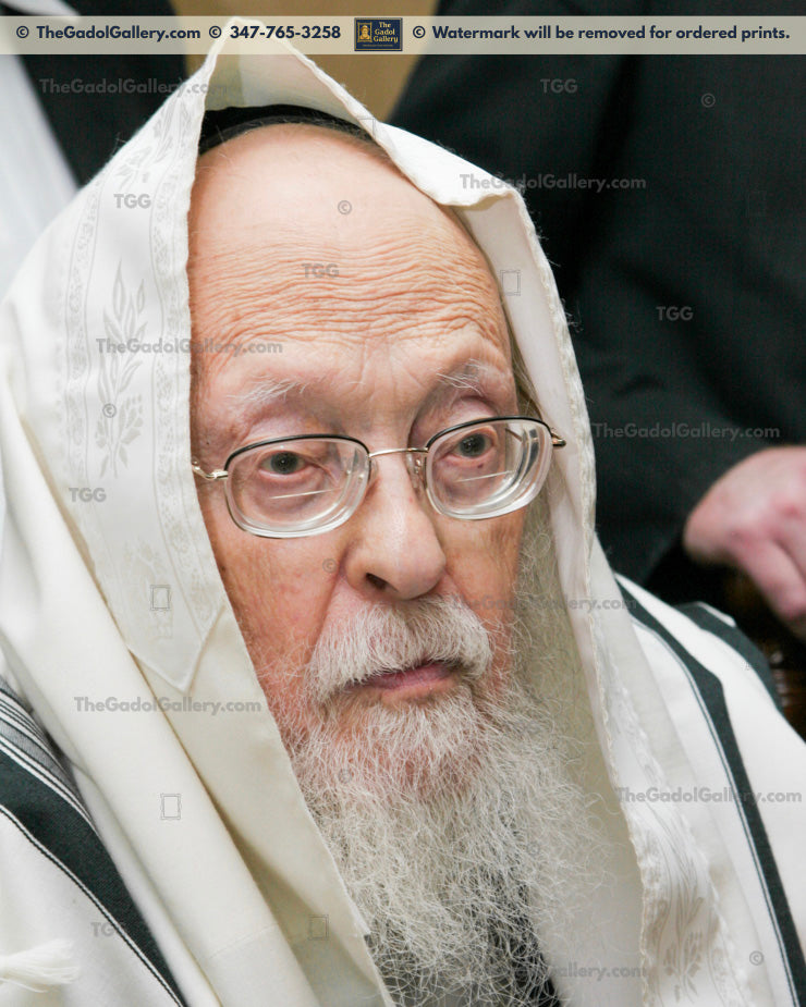 Rav Yosef Shalom Elyashiv -2- הרב יוסף שלום אלישיב