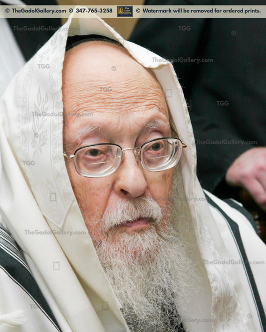 Rav Yosef Shalom Elyashiv -2- הרב יוסף שלום אלישיב