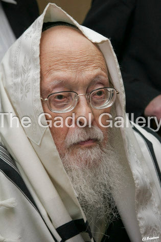 Rav Yosef Shalom Elyashiv