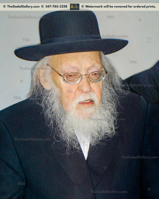 Rav Yosef Shalom Elyashiv -3- הרב יוסף שלום אלישיב