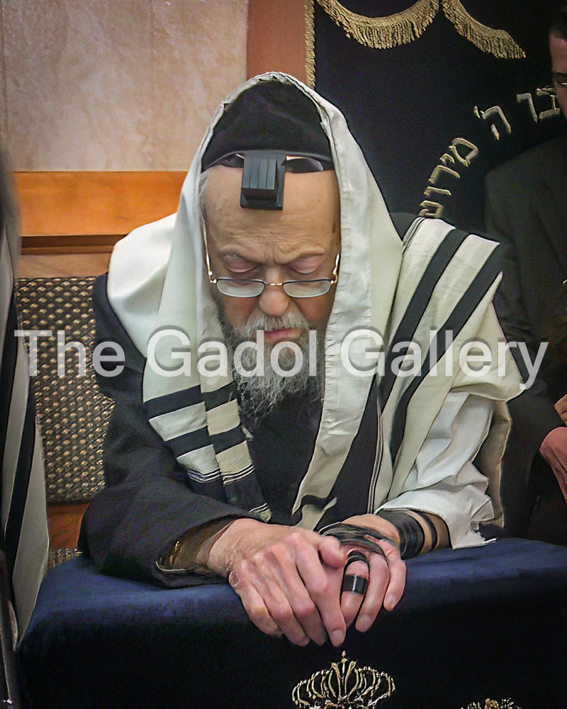 Rav Yosef Shalom Elyashiv