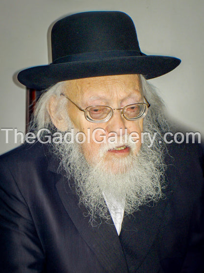 Rav Yosef Shalom Elyashiv -3- הרב יוסף שלום אלישיב Sukkah Poster