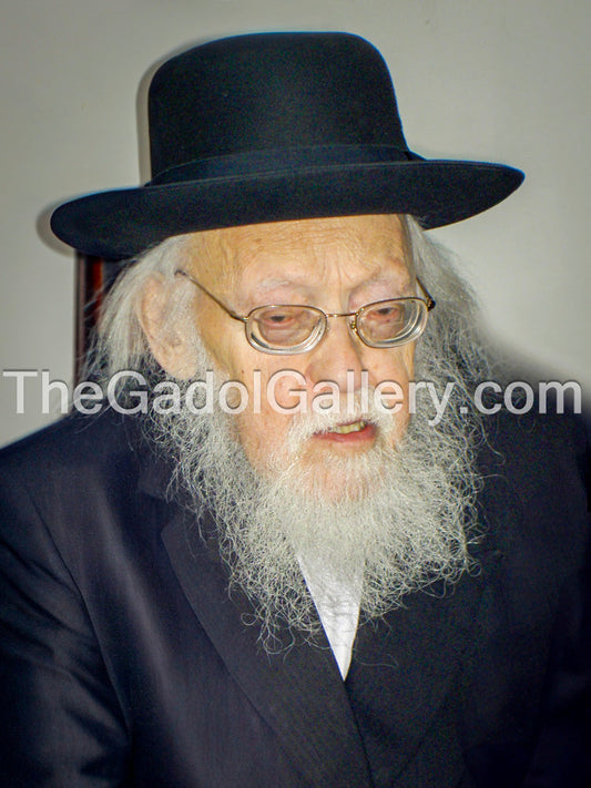 Rav Yosef Shalom Elyashiv -3- הרב יוסף שלום אלישיב Sukkah Poster
