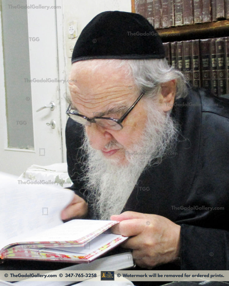Rav Avrohom Erlanger 5