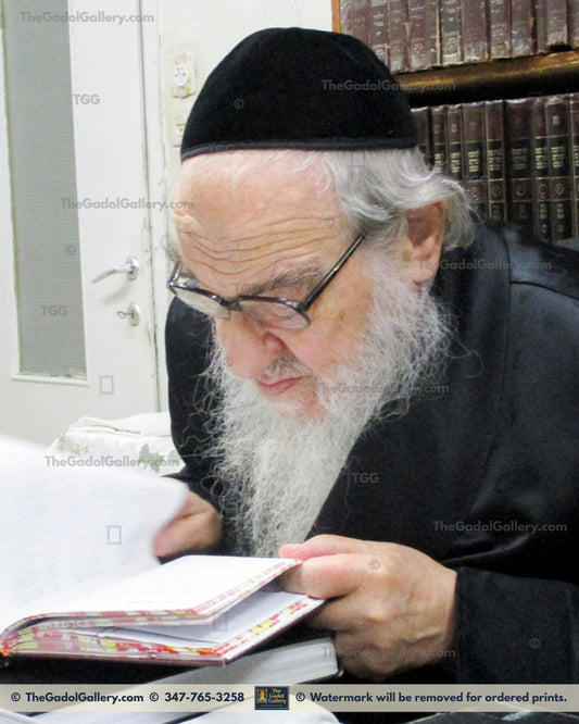 Rav Avrohom Erlanger 5