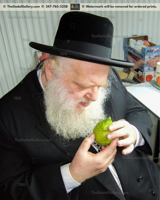 Rav Pesach Eliyahu Falk -1- רב פסח אליהו פלק