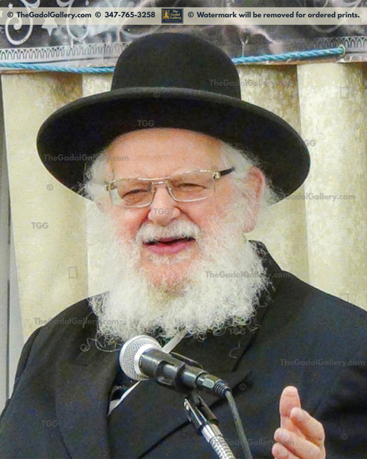 Rav Pesach Eliyahu Falk -2- רב פסח אליהו פלק