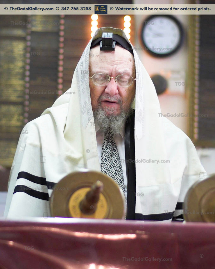 Rav Dovid Feinstein -1- רב דוד פיינשטיין