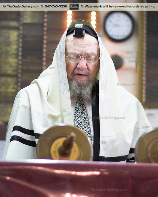Rav Dovid Feinstein -1- רב דוד פיינשטיין