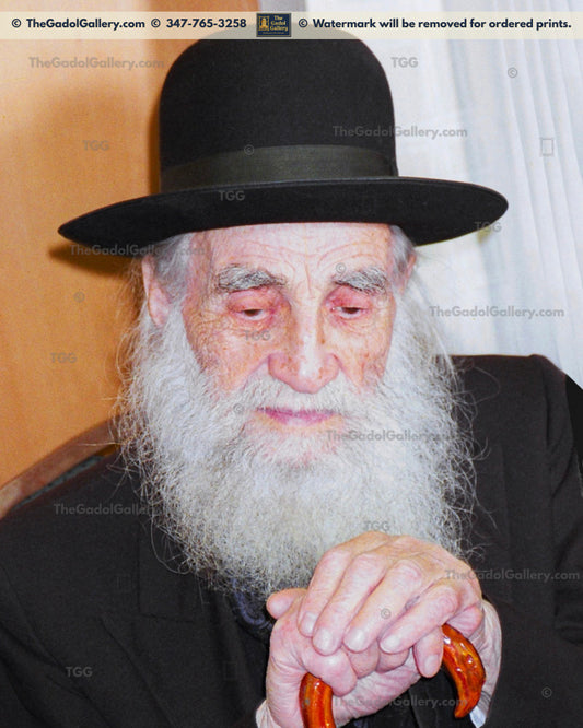 Rav Michel Feinstein -2- רב יחיאל מיכל פיינשטיין