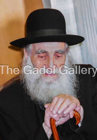 Rav Michel Feinstein -2- רב יחיאל מיכל פיינשטיין Sukkah Poster